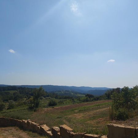 Bitini Farm Apartment Gračišče المظهر الخارجي الصورة