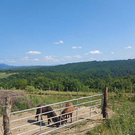 Bitini Farm Apartment Gračišče المظهر الخارجي الصورة