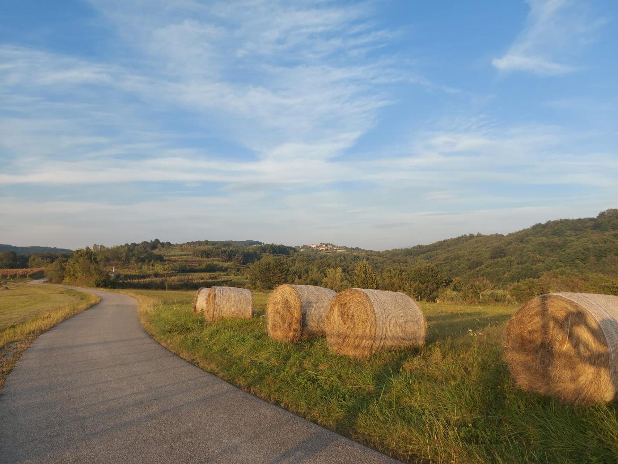 Bitini Farm Apartment Gračišče المظهر الخارجي الصورة