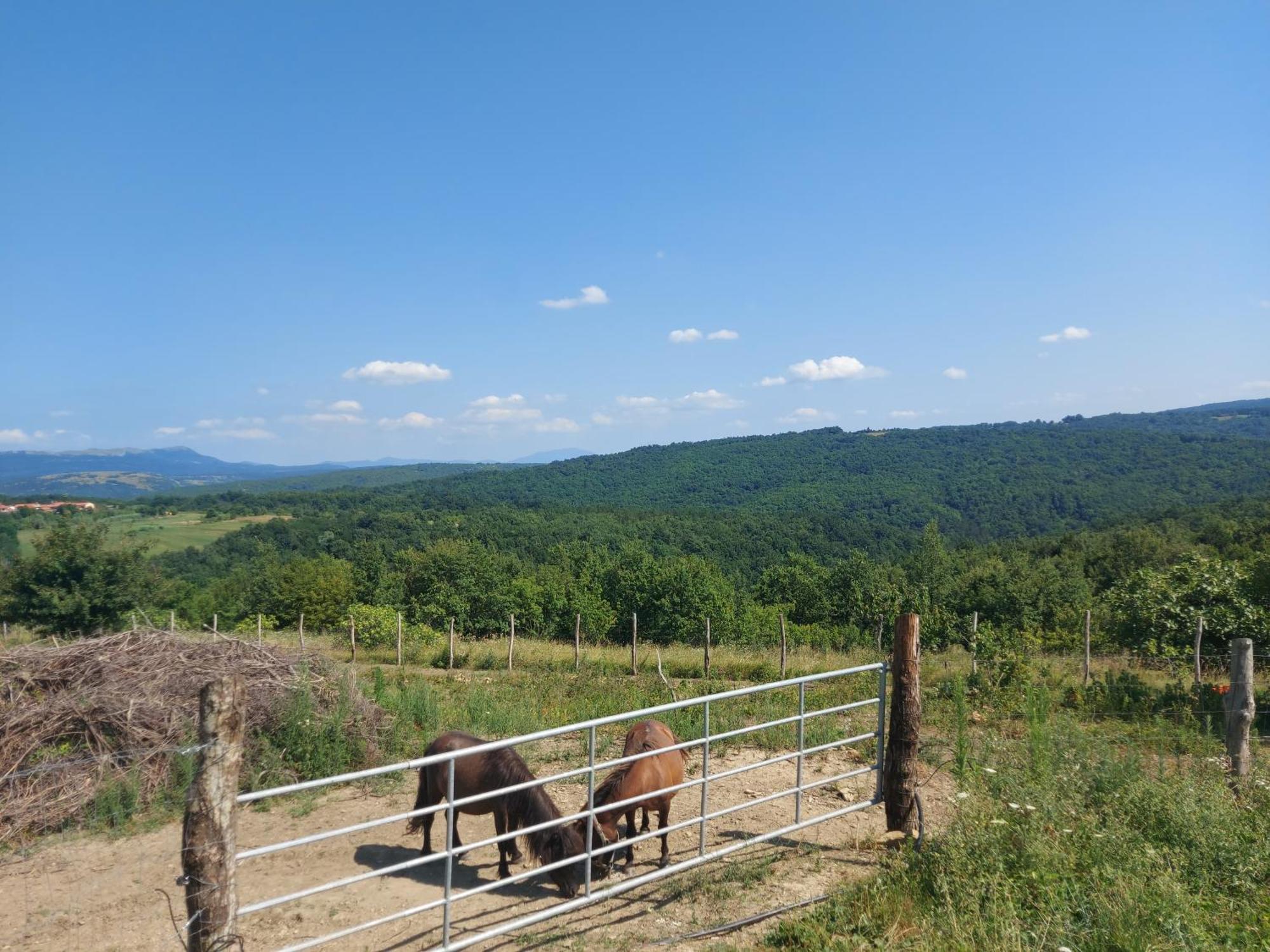 Bitini Farm Apartment Gračišče المظهر الخارجي الصورة